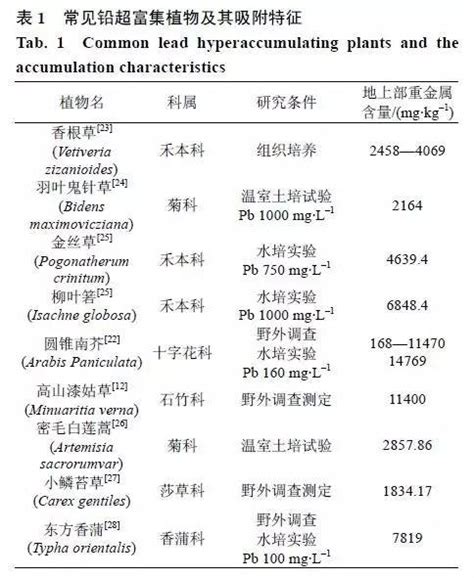 植物吸收重金屬|几种重金属的超富集植物种类及增强植物修复措施研究。